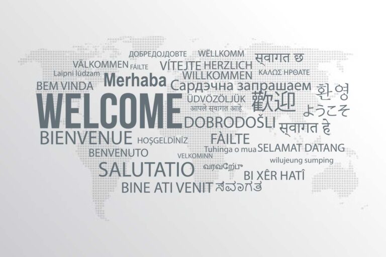 WordPress Çoklu Dil Eklentileri