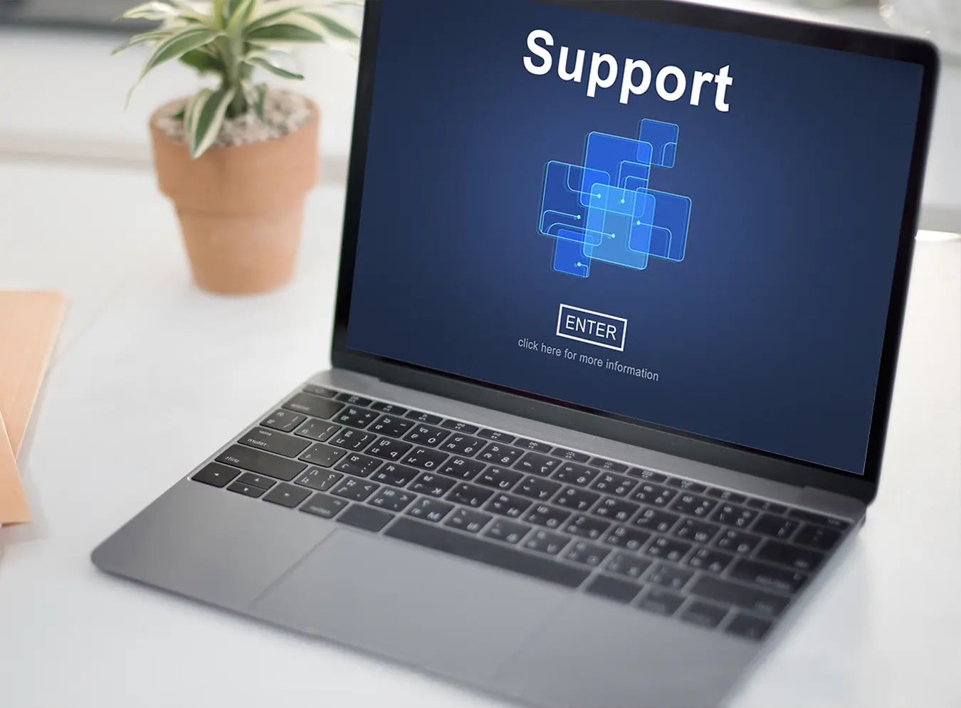 Hizmetlerimiz | WP Kurulum Profesyonel WordPress Çözümleri